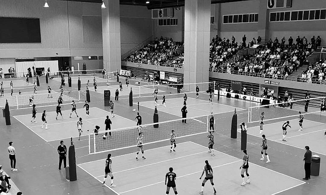 AVP League 2026: Brasher – Cruz và Crabb – Dalhausser vô địch, thắng lợi được dựng từ hàng chắn