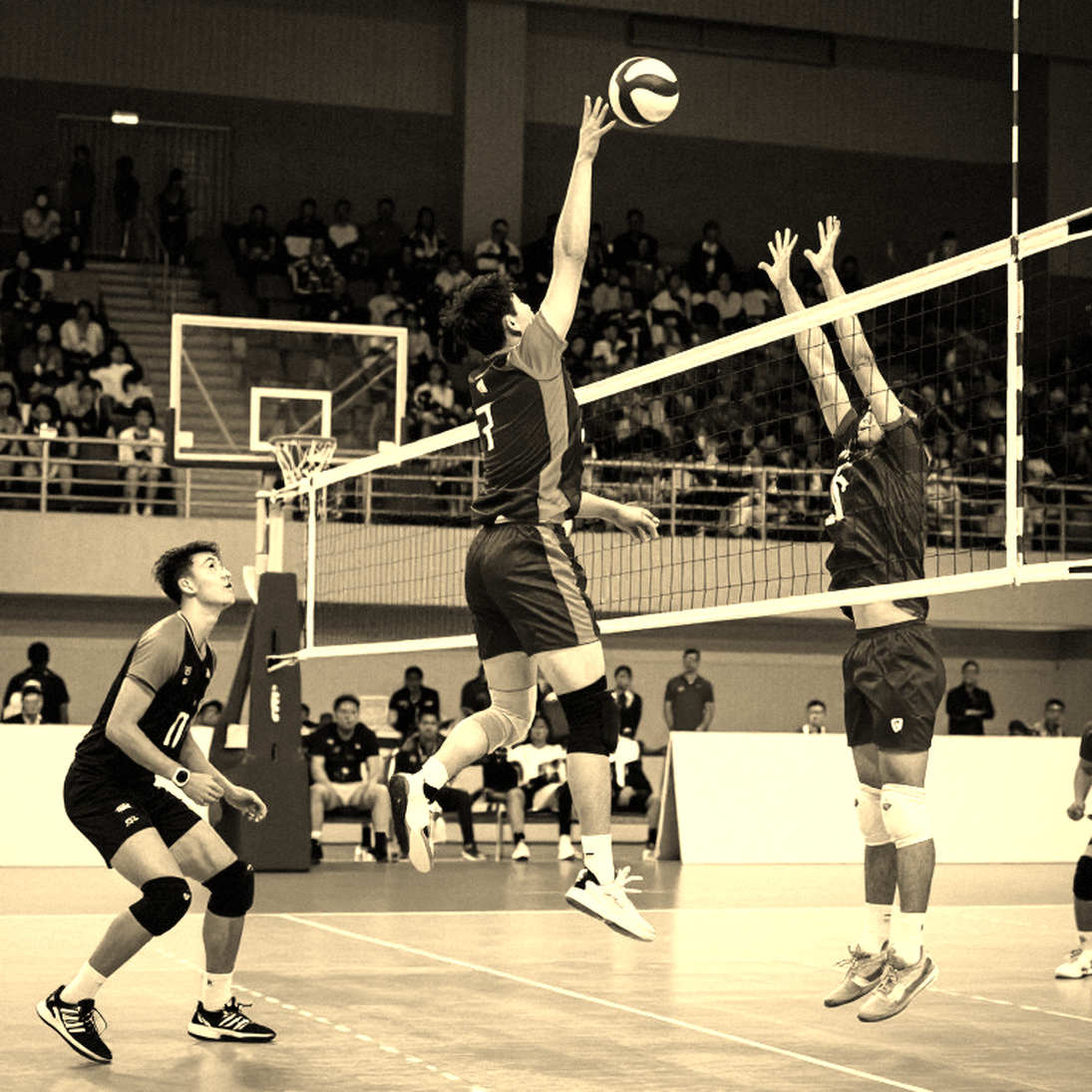 Chung kết Asiad 20: Nhật Bản đợi 48 năm, Trung Quốc săn cú hat-trick và bài toán thể lực từ set thứ năm