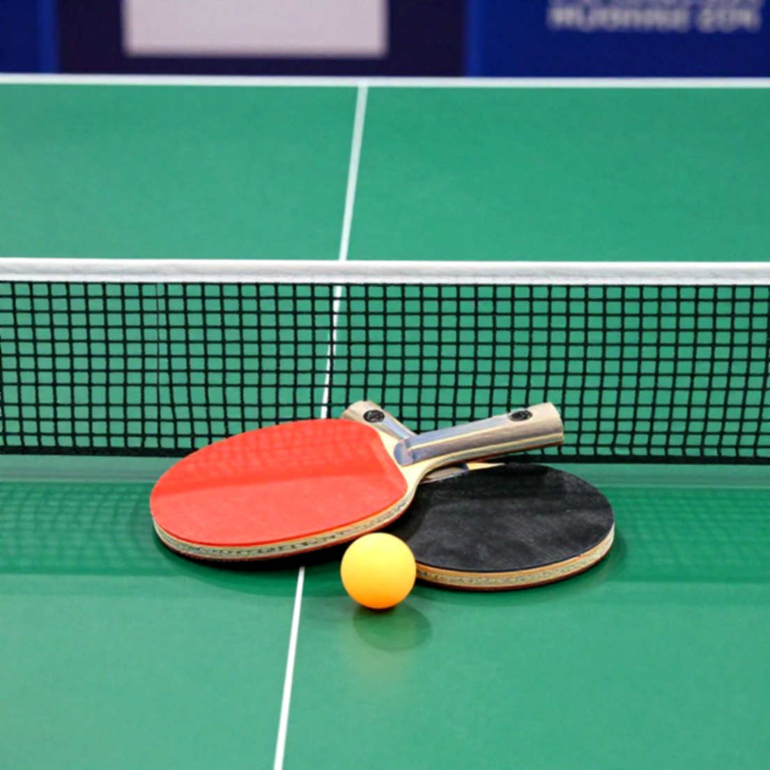 National Series 2026/27 của Anh: Alyssa Nguyen dẫn đầu U19 nữ, Grantham Academy thống trị U19 nam