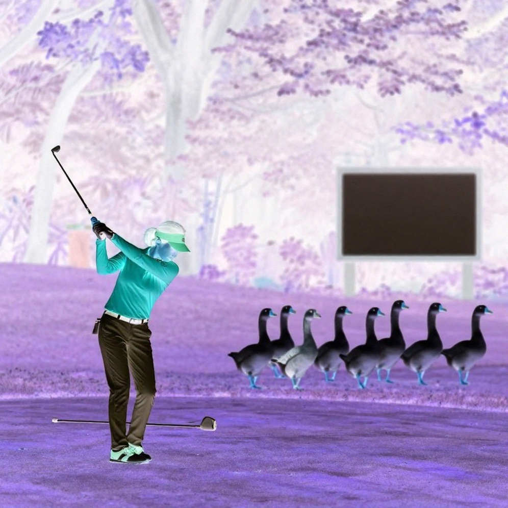 Phân tích kỹ thuật cho thấy thiếu dữ liệu về hiệu suất golfer Phân tích kỹ thuật cho thấy thiếu dữ liệu về hiệu suất golfer