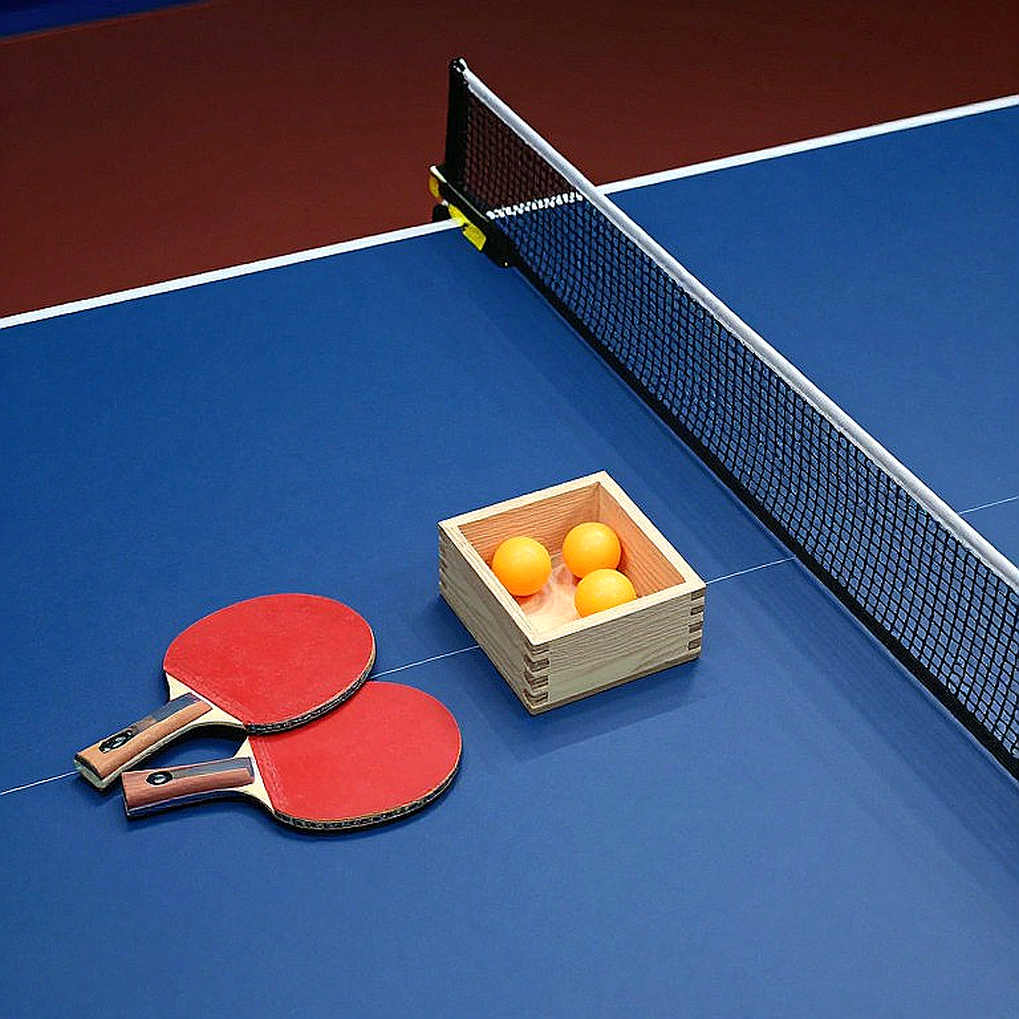 Table tennis: when the input is empty, the honest answer is 'not enough information